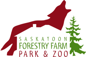 Saskatoon-Zoo-Forestry-Farm-park-and-zoo-ZOOGALA-silver-sponsor